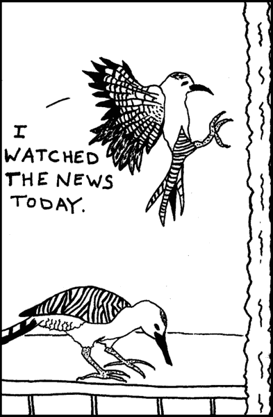 Bird: I watched the news today.