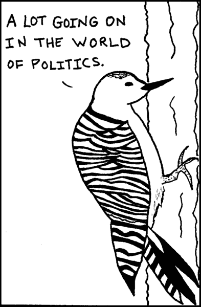 Bird: A lot going on in the world of politics.